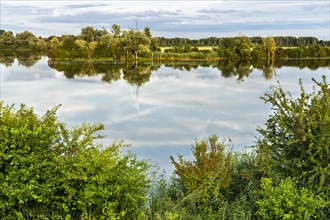 The nature reserve Gmuender Au and the river Alte Donau