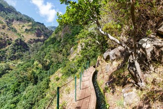 Hiking trail along the Levada Nova Hike hiking on Madeira Island