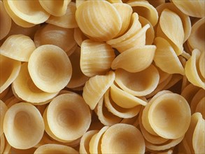 Orecchiette pasta food