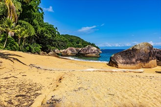 Paradisiacal and deserted beach with colorful waters surrounded by rainforest in Ilha Grande bay in Angra dos Reis on the coast of Rio de Janeiro
