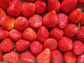 Strawberries fruits background