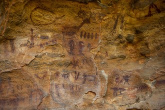 Rock art painting at Pedra Furada