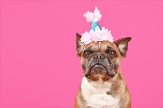 Fawn French Bulldog dog with birthday party hat on pink background with copy space