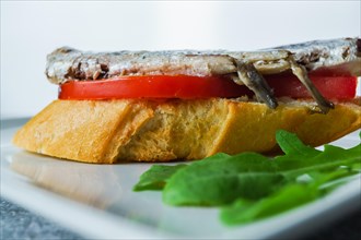 Tapa of sardines on a slice of bread with tomato and olives on a white plate with a typical spanish white background