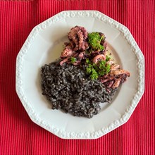 Italian dish from Italian cuisine Black risotto nero with octopus garnished with parsley