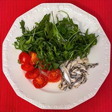 Italian dish from Italian cuisine served on a plate Starter Primo Piatto Marinated anchovies Alici marinate with fresh ruccola Ruccola salad and halved small tomatoes