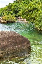 The rainforest invading the sea with calm waters and vibrant colors among the rocks of Trindade