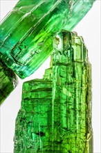 Studio shoot of brazilian green tourmaline raw crystal with white background