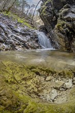 Underwater photo of a mountain stream with waterfall in the Kalkalpen National Park