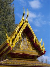 Siamese temple Sala-Thai I