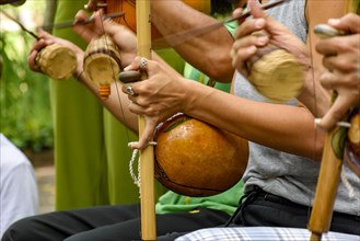 Several musicians playing an Afro Brazilian percussion musical instrument called the berimbau during a capoeira performance in the streets of Brazil