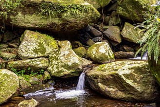 Small cascade among mossy rocks and rainforest on Ilhabela island on the north coast of Sao Paulo