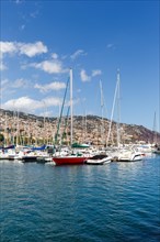Marina harbour with boats in Funchal on Madeira Island