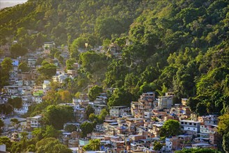 Slum between the vegetation of the slopes of the hills in Copacabana district in Rio de Janeiro