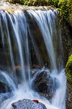 Small stream and waterfall among the moss