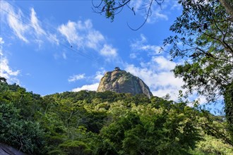 Sugarloaf Mountain seen through the rainforest vegetation on the hills of Rio de Janeiro