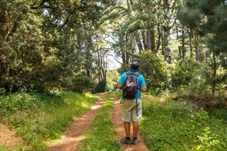 A young man on a nature trail in La Llania on El Hierro