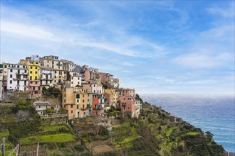 Scenic view of Coniglia village located in Cinque Terre