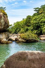 Rainforest invading the sea through the rocks in Trindade