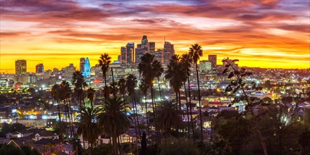 View of Downtown Los Angeles Skyline with Palm Trees at Sunset in Panorama California in Los Angeles