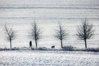 A man with a dog walks in a winter landscape in Koenigshain
