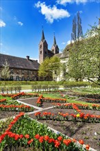 Red tulips in the Remtergarten with a view of the Carolingian Westwerk