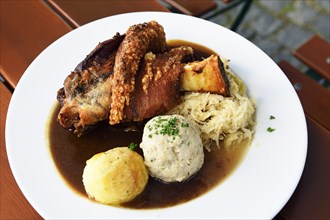 Typical Bavarian meat dish