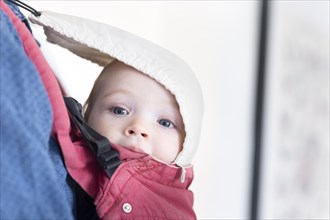 Subject: Toddler in a baby carrier
