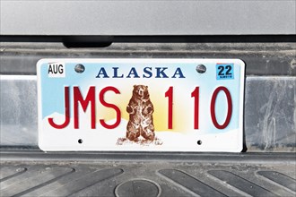 Number plate with grizzly