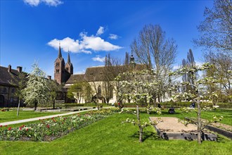 Blooming Remtergarten with view of the Carolingian Westwerk