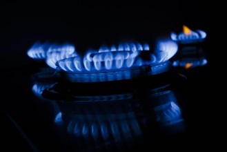 Symbolic photo on the subject of rising costs for gas. Flames in a gas cooker. Berlin