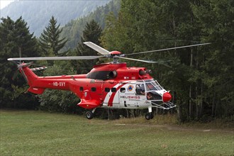 Multi-purpose transport helicopter AS 332 Super Cougar C1 HB-XVY of Heliswiss International AG lands on a forest meadow