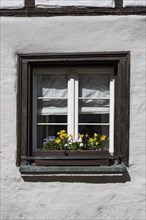 Window with flower box and spring blossoms in the old town of Radolfzell on Lake Constance