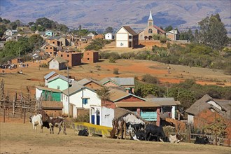 Rural village with church in the Central Highlands where a weekly zebu market takes place