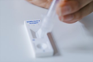 Symbol photo on the topic ' Compulsory testing in the office '. A Sars Covid-19 antigen rapid test lies on a desk. Berlin