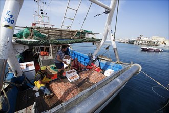 Freshly caught shellfish sold directly from the fishing boat