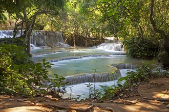 Travertine cascades and turquoise blue pools of the Kuang Si Falls