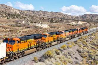 BNSF Railway goods train at Cajon Pass near Los Angeles