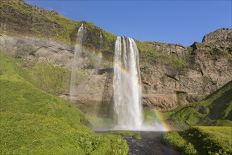 Seljalandsfoss waterfall with rainbow