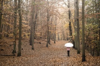 A woman with an umbrella walks through the Grunewald forest in Berlin during continuous rain