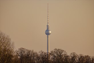View of the Berlin TV Tower in the evening light from the north. Berlin