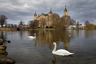 Schwerin Castle with two Mute Swans