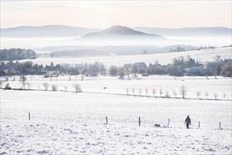 A man with a dog walks in a winter landscape in Koenigshain
