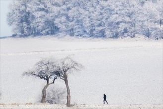 A man jogging in a winter landscape in Koenigshain