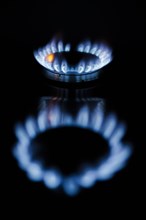 Symbolic photo on the subject of rising costs for gas. Flames in a gas cooker. Berlin