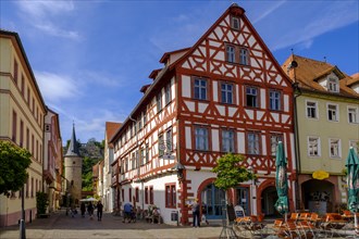 Main Gate with half-timbered house