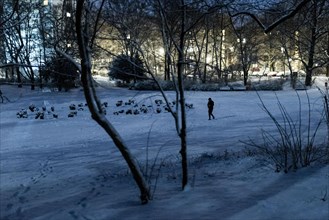 A person walks in the Volkspark Wilmersdorf after a light snow storm in Berlin
