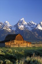 Picturesque Mormon Row barn and the Cathedral Group Mountains at Jackson Hole