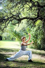 Beautiful woman doing Tai Chi in park. A calm and relaxing scene of a woman practicing a martial art form in a natural and peaceful setting