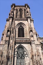 Cathedral of Our Lady of Strasbourg